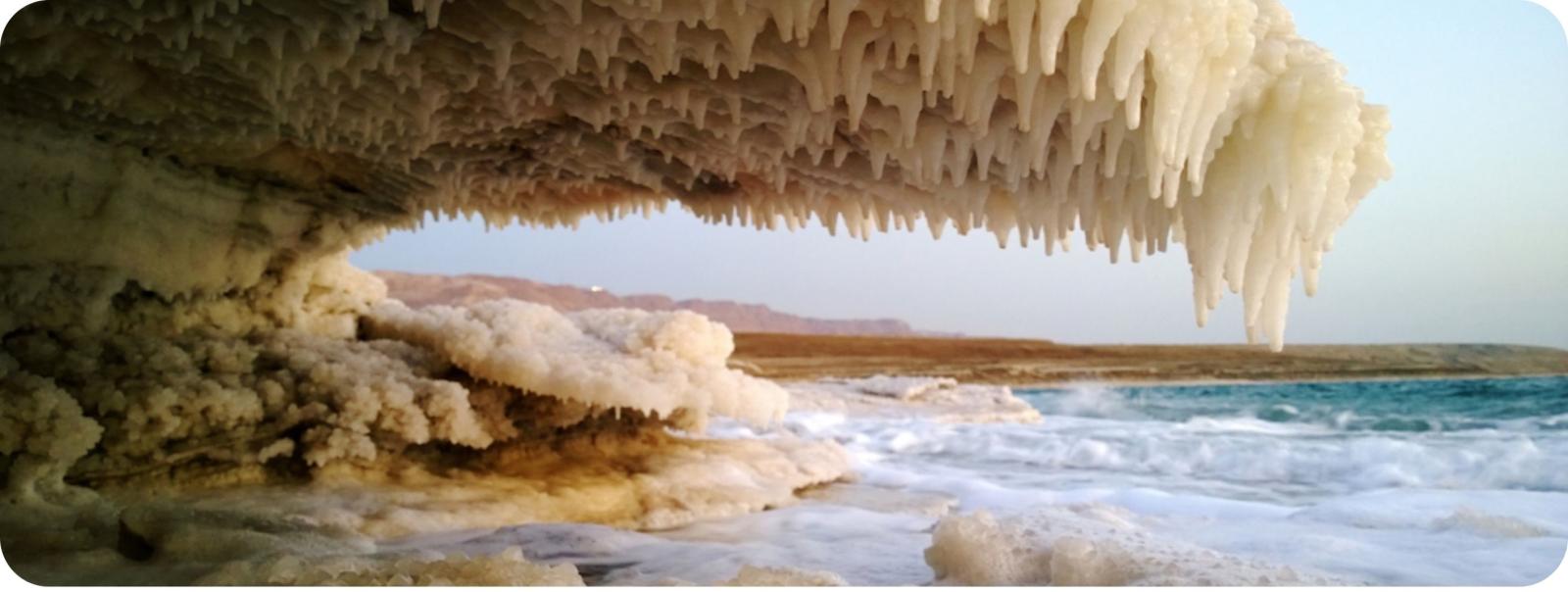 Royal Jordanian - oneworld Member Airline | oneworld