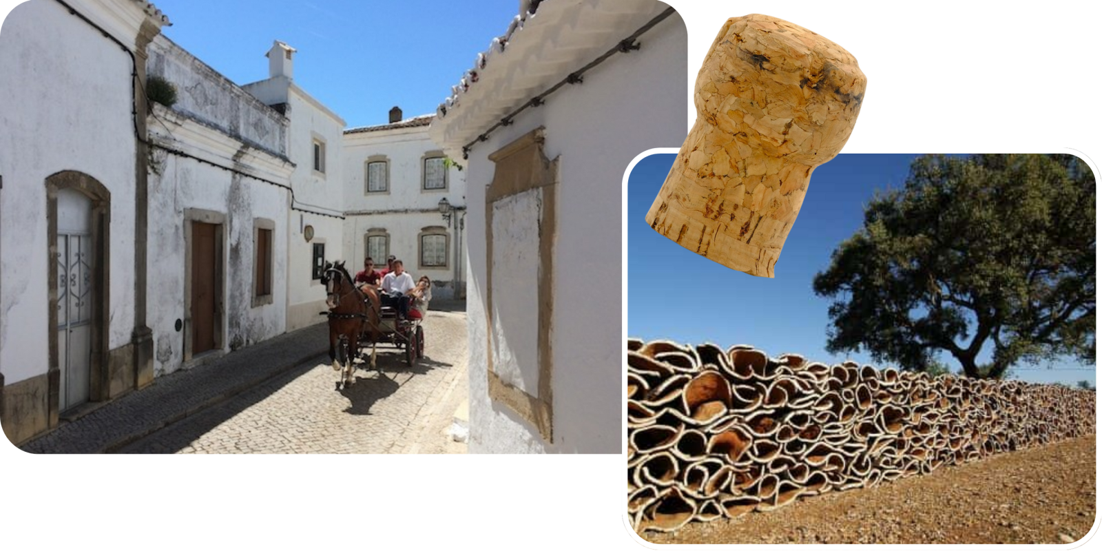 Afbeelding uit fotogalerij van de accommodatie