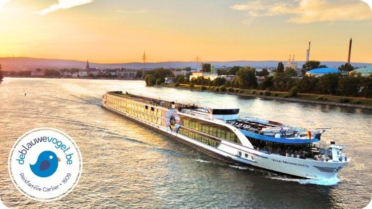 Afbeeldingsresultaat voor brazil logo