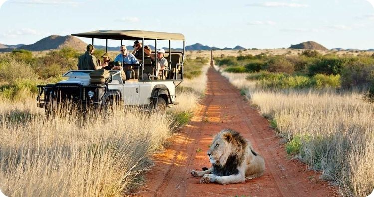 Afbeeldingsresultaat voor south africa panorama safari