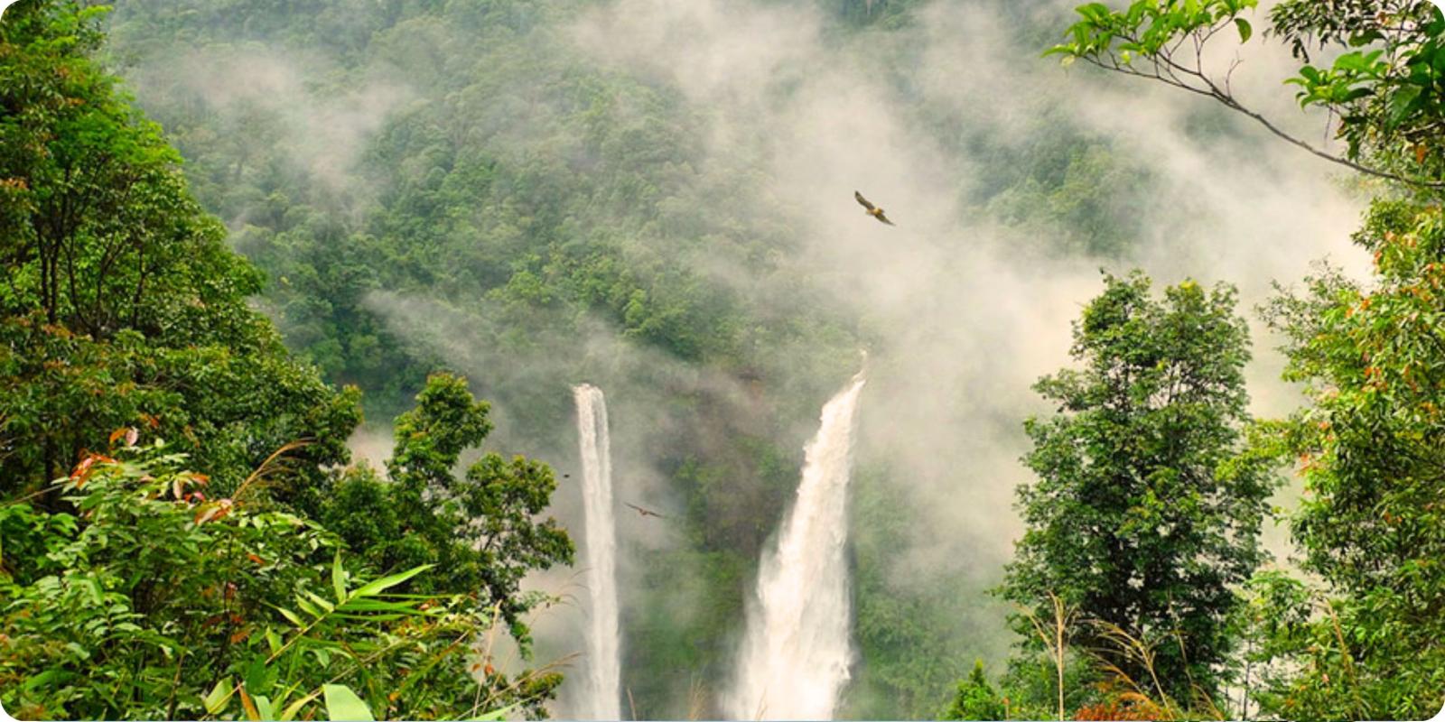 A picture containing tree, grass, flower, outdoorDescription automatically generated